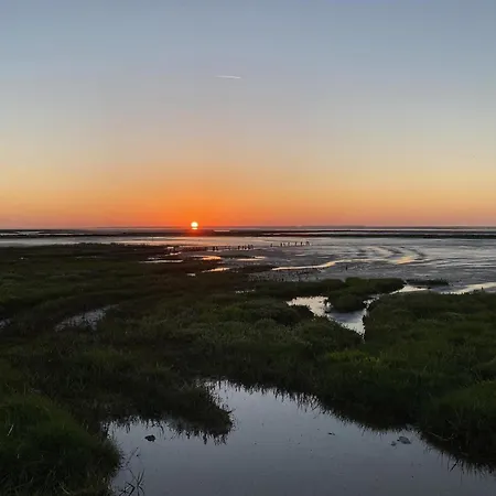 Pfeffermuschel Neßmersiel