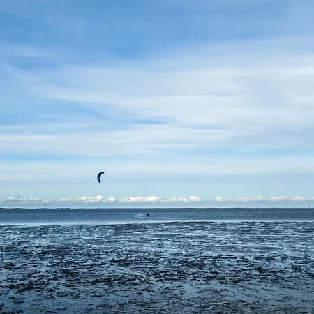 Ferienhaus-pfeffermuschel *