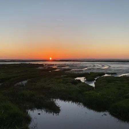 Ferienhaus-pfeffermuschel * Neßmersiel