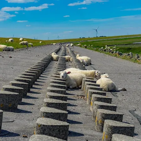 Ferienhaus-pfeffermuschel *