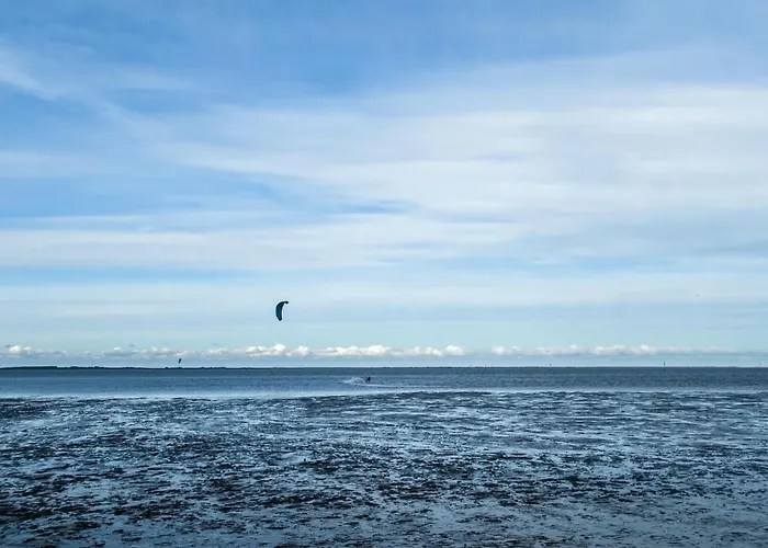 Ferienhaus-pfeffermuschel *