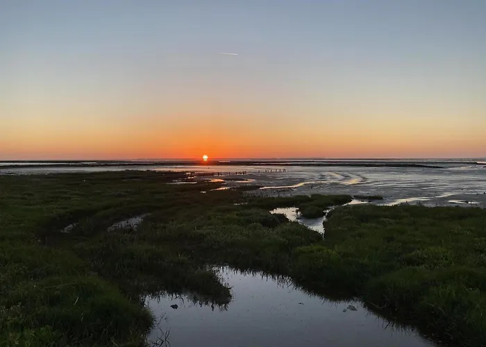 Ferienhaus-pfeffermuschel * Neßmersiel