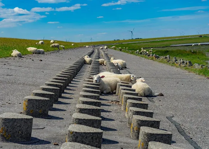 Ferienhaus-pfeffermuschel *